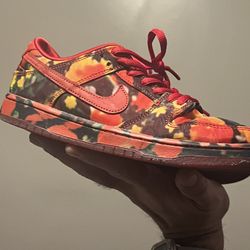 Wizard Of Oz Poppy Field Sb