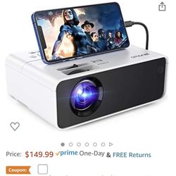 Indoor/Outdoor Projector 