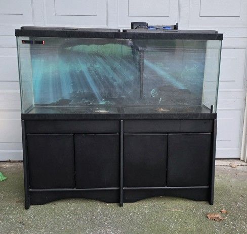 55 Gallon Aquarium With Accessories