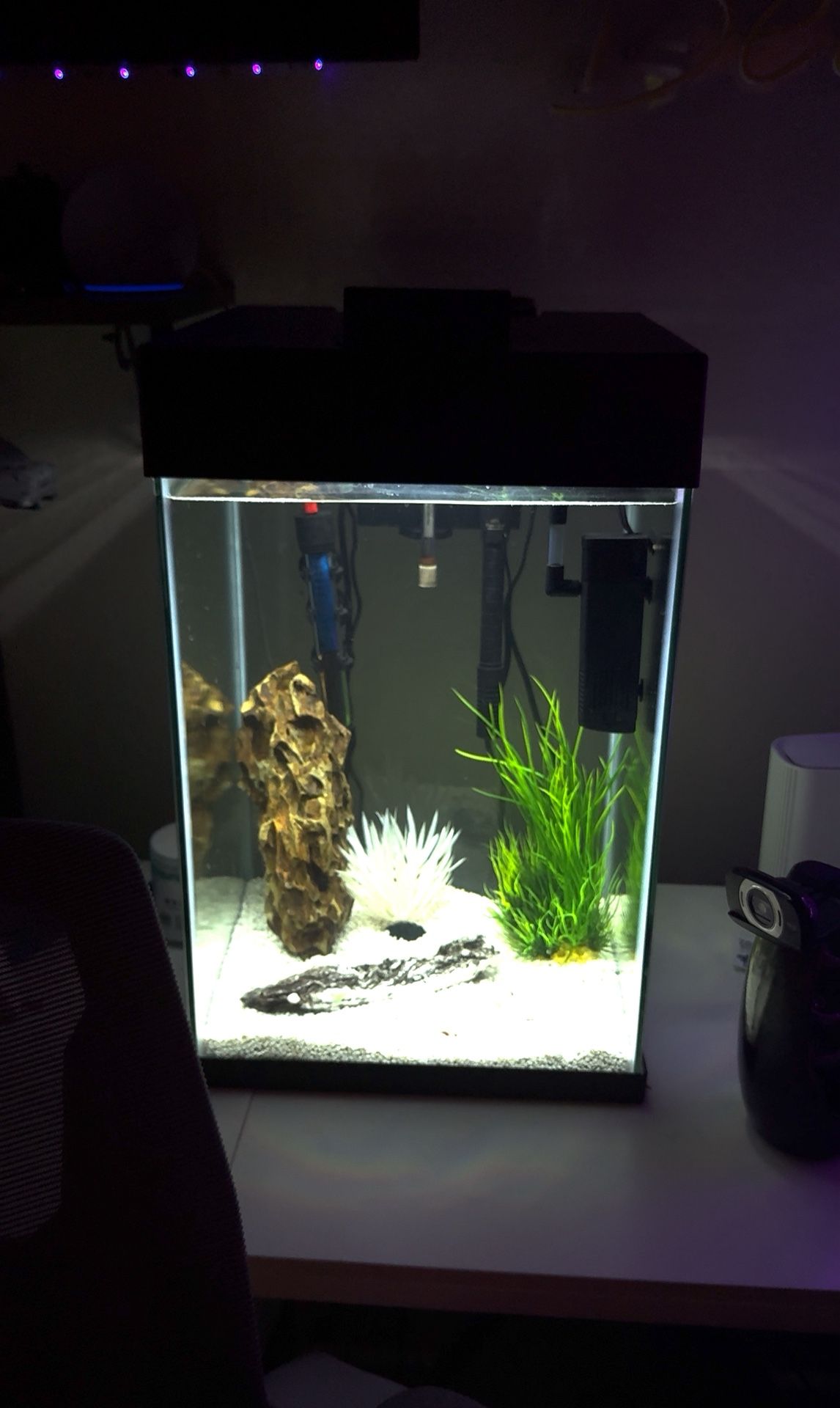 10 gallon vertical fish tank 