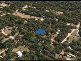 0.18 Acre in Ocklawaha, FL – High & Dry Lot Near Lake Mary (m)