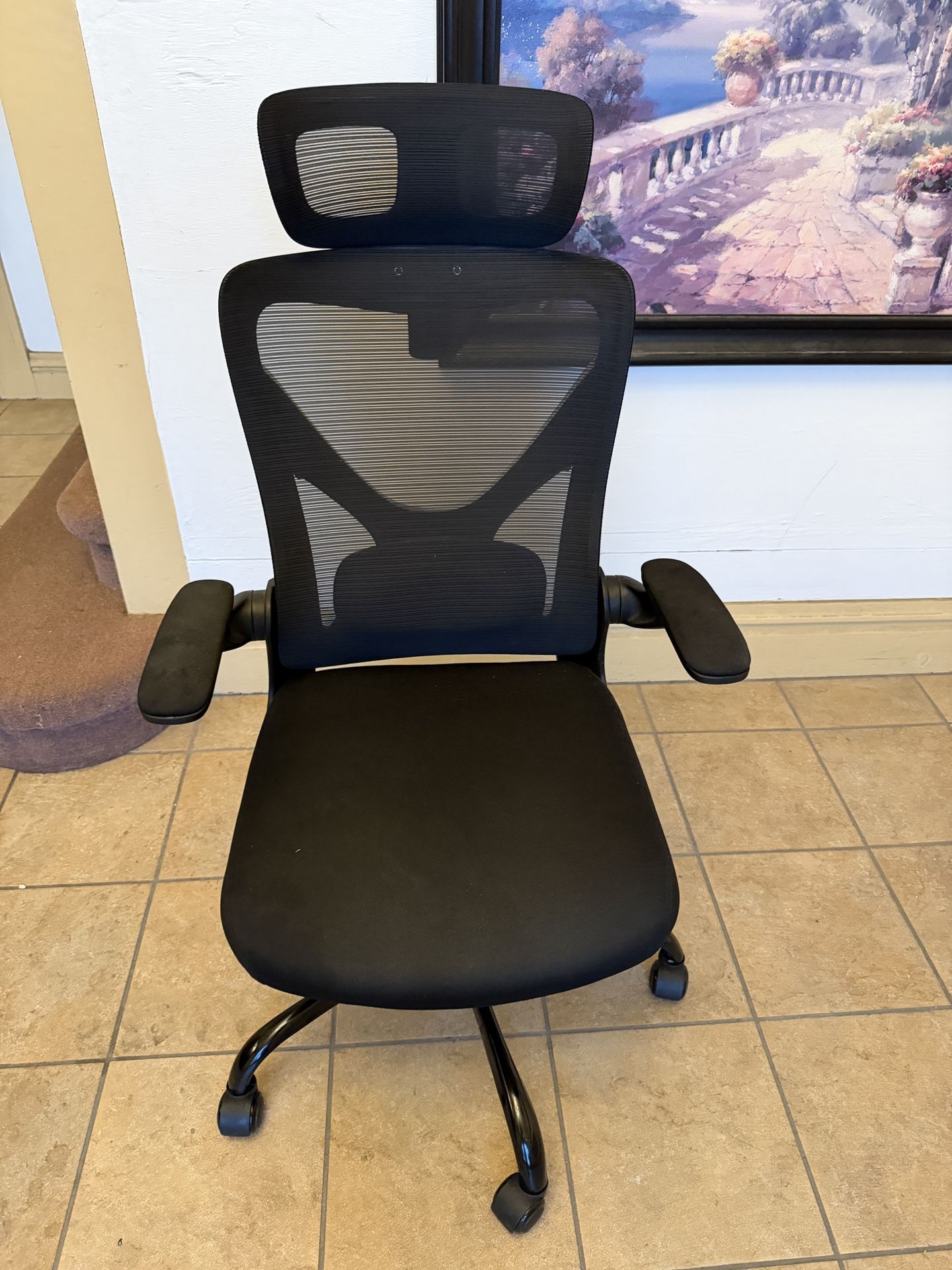 Ergonomic Office Chair