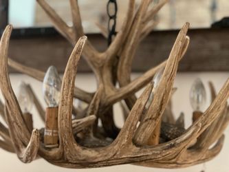 Antler Chandelier with Multiple Lights
