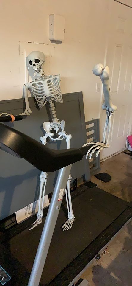 Set of 2 - Posable Life Size Human Skeletons Adult & Child - Realistic Halloween Prop Decorations