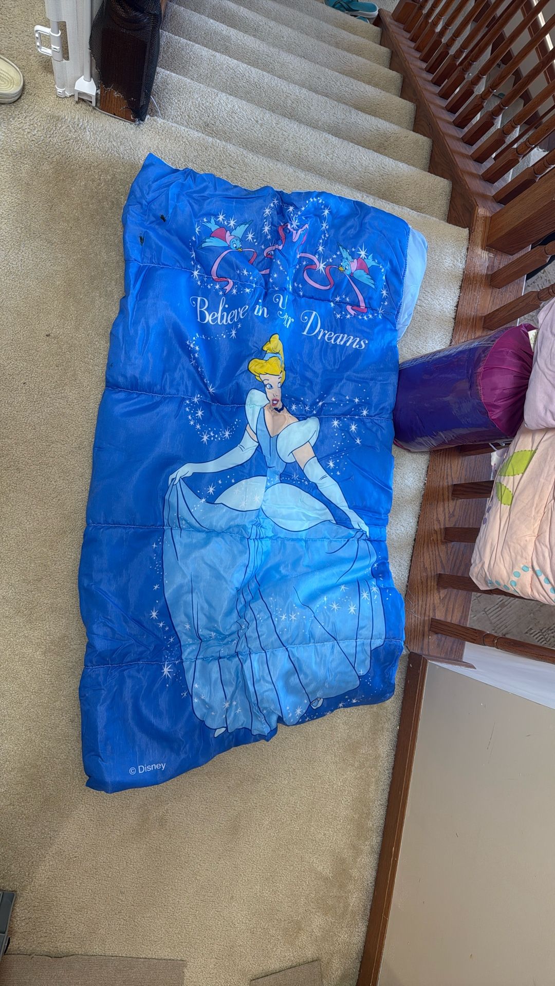 Disney Princess Sleeping Bag