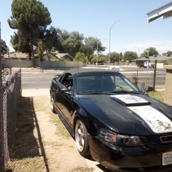 Mustang Runs Good No Paper Billing Sale