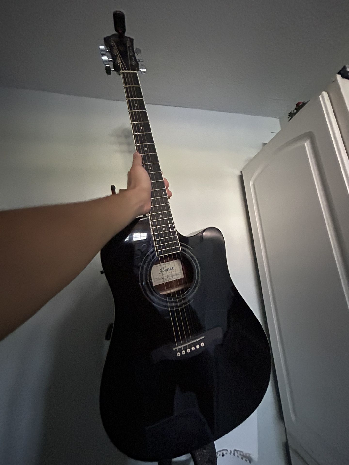 Ibanez Acoustic Electric Guitar