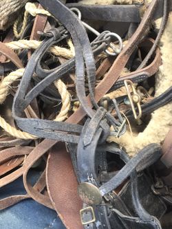Box of vintage leather horse bridles and blinders and saddle pad