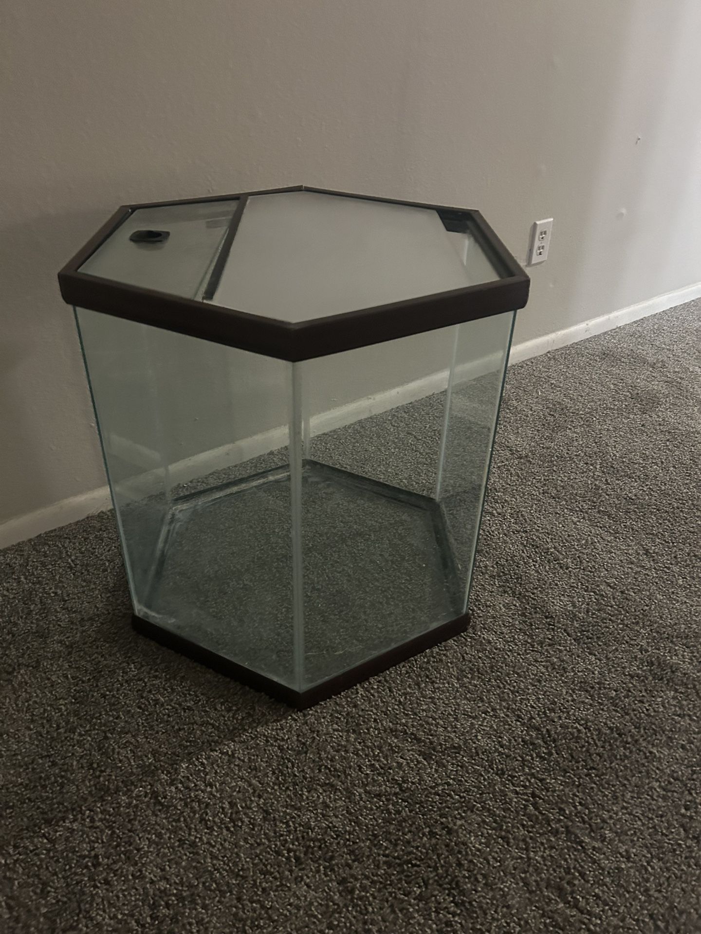 Hexágono Fish Tank 50 Gallon