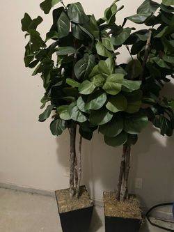 Artificial Fiddle Leaf Fig Trees – Set of 2