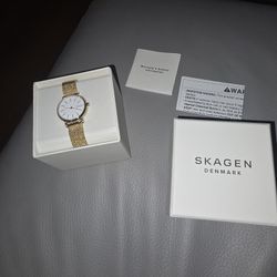 SKAGEN  DENMARK Watch Gold Color  BRAND NEW
