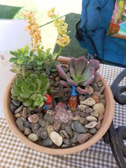 Decorative Pot