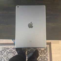 iPad 