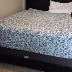 Bed Frame Without Mattress And Spring box $100