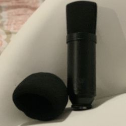 Microphone 