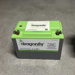 Dragonfly Lifepo4 100ah
