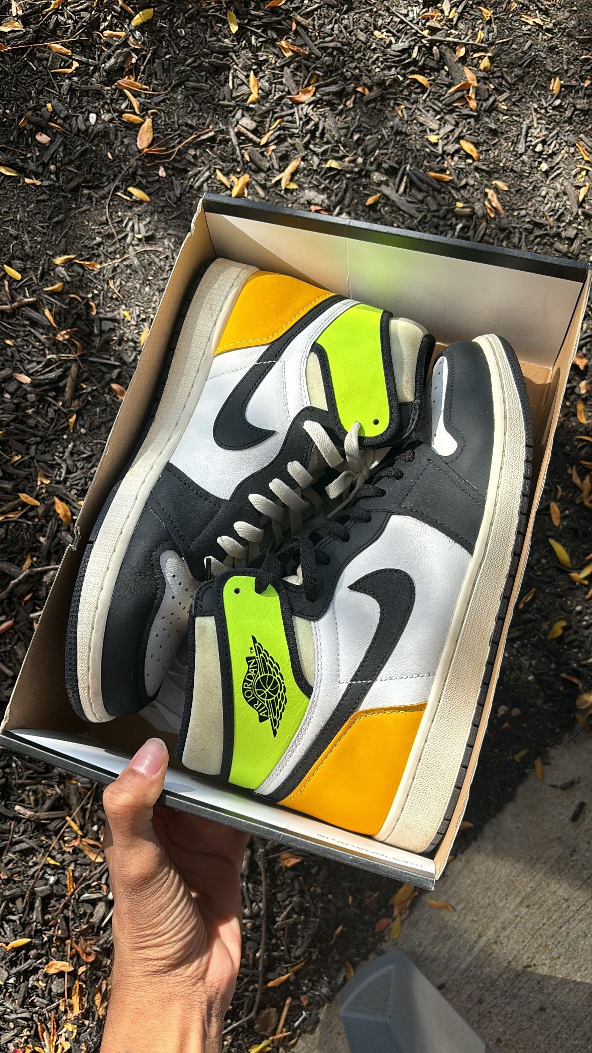 Jordan 1 Size 12