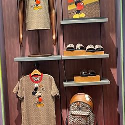 Disney X Coach 50 Year Anniversary Backpack 