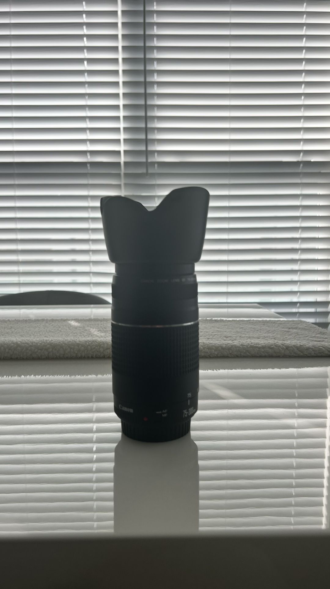 75-300 canon EF USM II