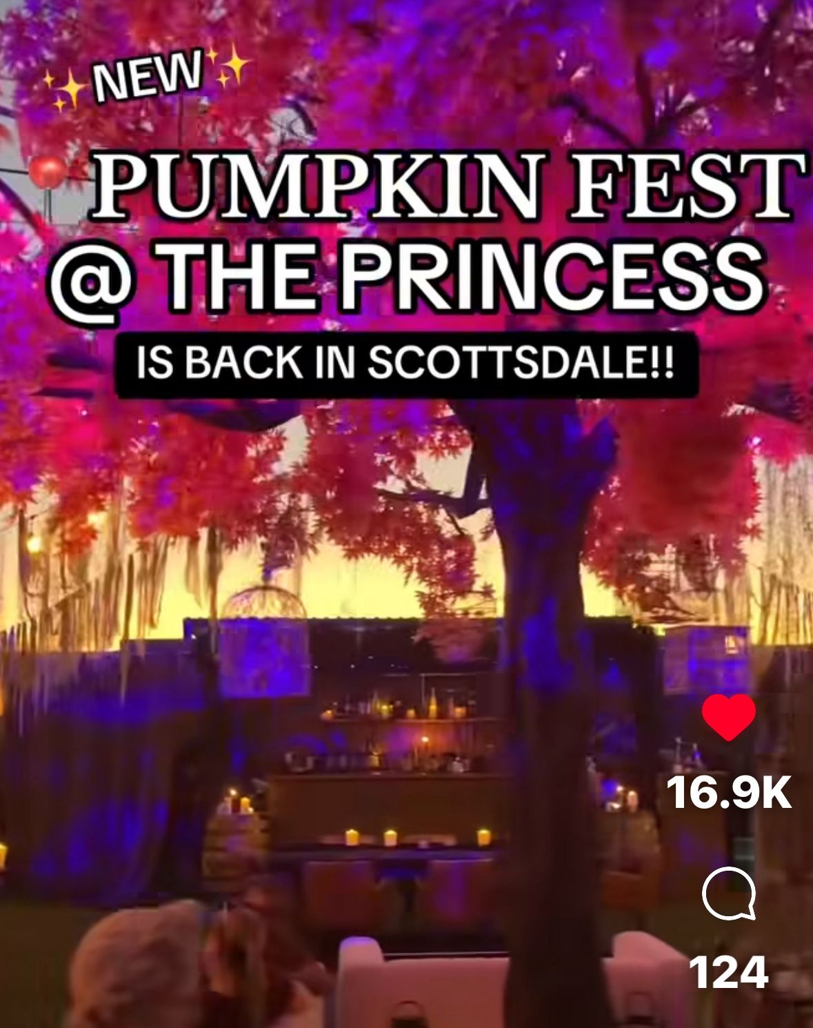 1/2 Price Tickets For Sale - Princess Fall Festival