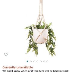 Hanging Plant Holder 