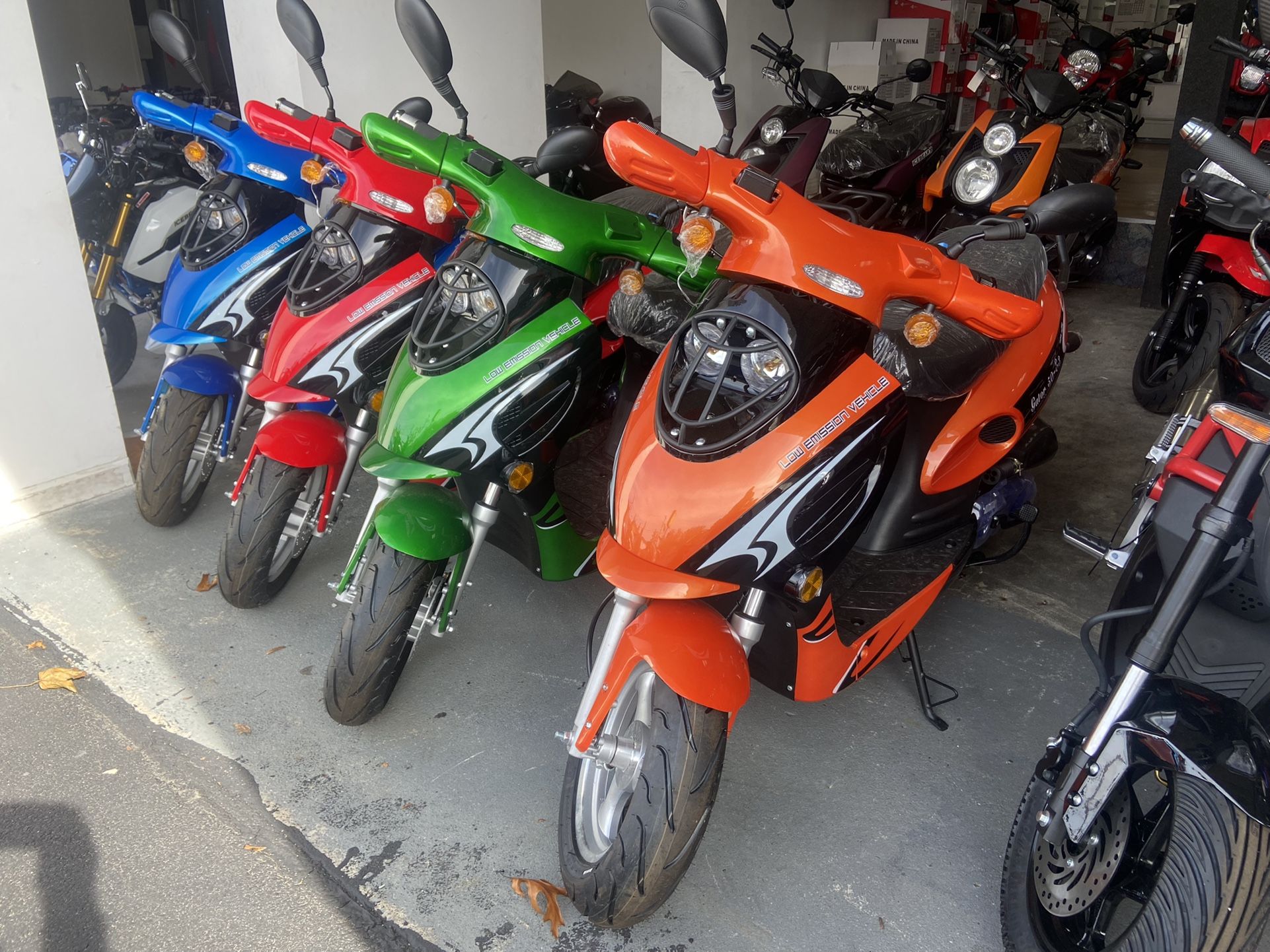 50cc Boom Gator Black Friday On Sale