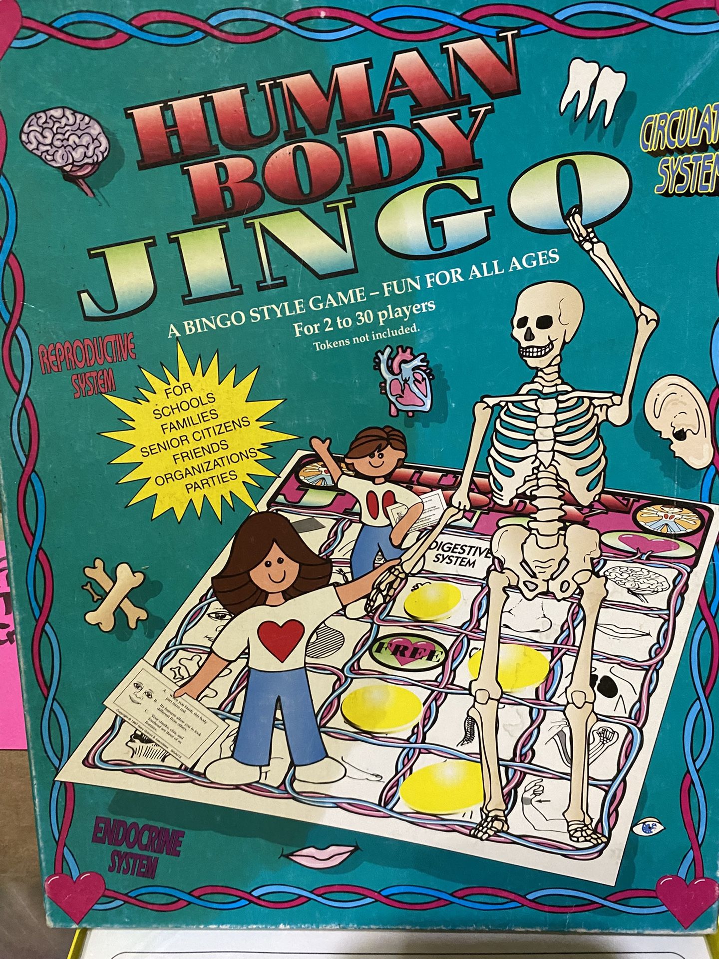 Human Body Systems Jingo Game