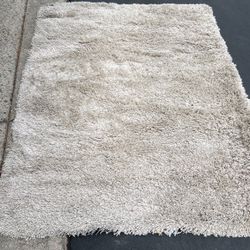 Nice Clean Thich Rug.  Pets& Smoke Free. Moving Need A New Home.$30 only .