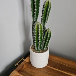 2ft Artificial Cactus Plant in Modern Planter 🌵