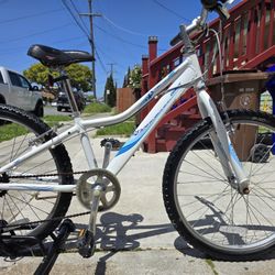 Giant Mountain Bike Ready To Ride 