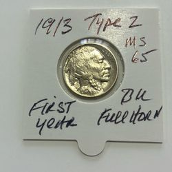 TYPE 2  1913 P  FIRST YEAR BUFFALO NICKEL