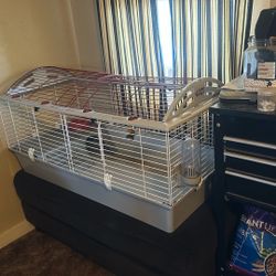 $85 OBO Bunny Cage With Pellet Litter/ Paper Litter And Rabbit Food/ Grass