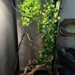 chameleon cage set with extras 