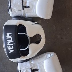 Professional Boxing Set 