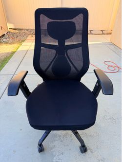 Beautyrest Duo-Ex Ergonomic Mesh Swivel Task Chair