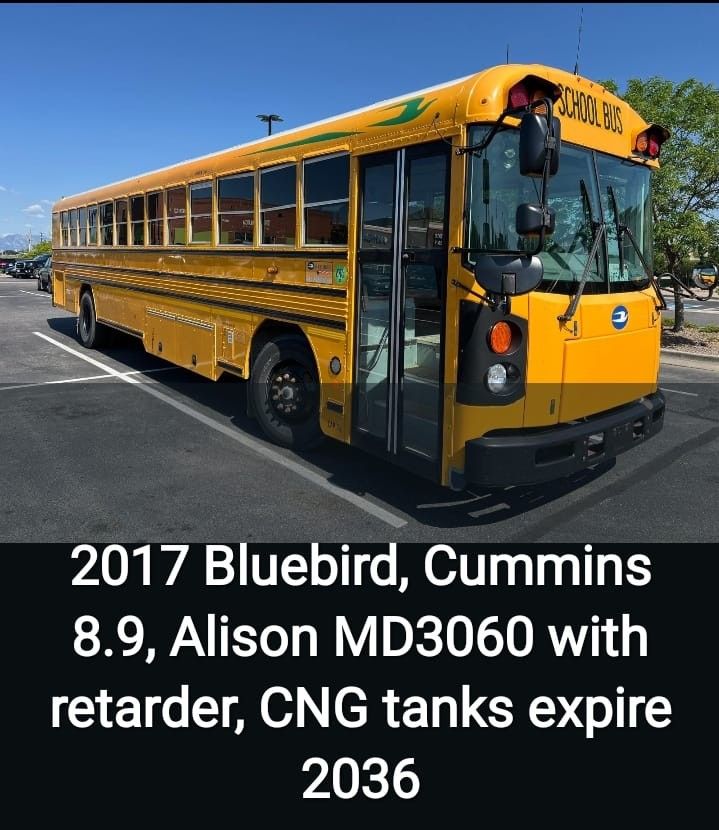 2017 BlueBird Cummins