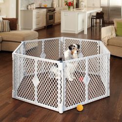 Dog Cage