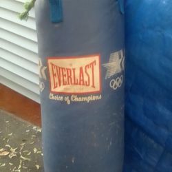 Everlast Punching Bag 