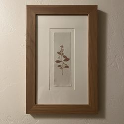 Framed Plant Print 