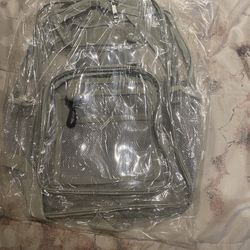 Transparent Backpack 