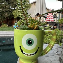Succulents In A Cup