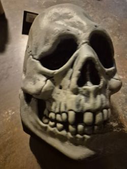 Skull Halloween Costume Mask
