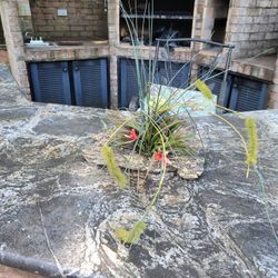 Artificial Plants 