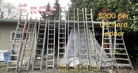 LADDERS 2ft - 32ft (Price In Pic) 