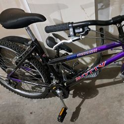 Motiv Shimano 21 Speed Bike