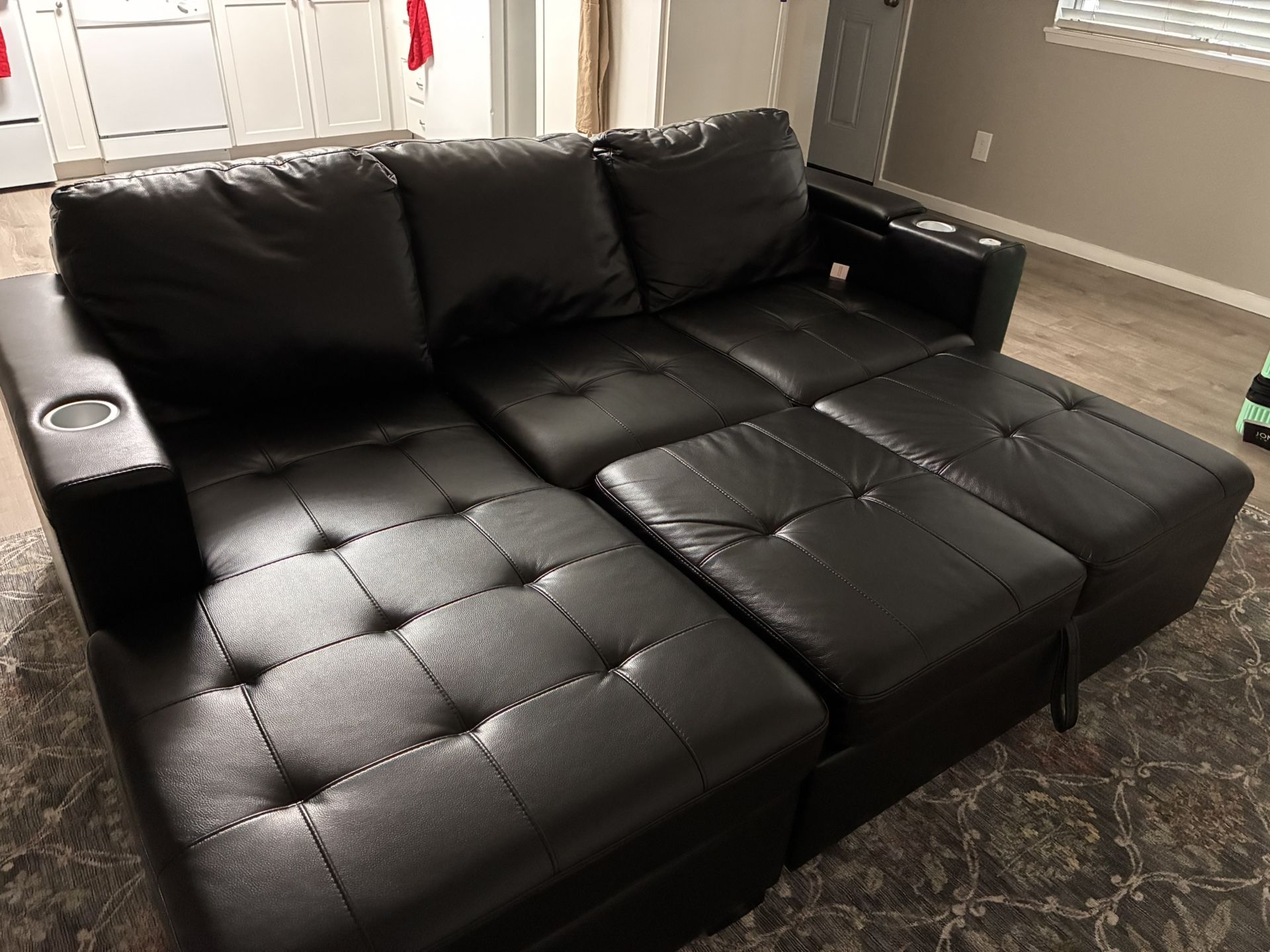 Leather Pullout Couch
