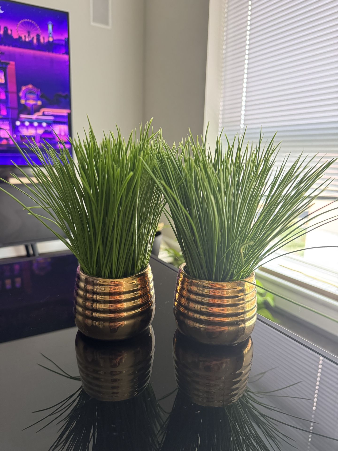 2 Decorative Fake Plants