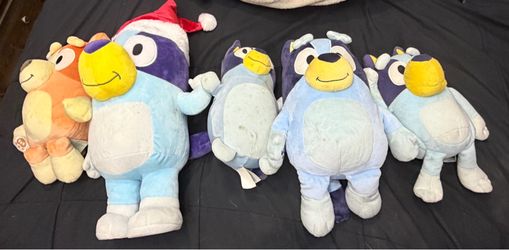 Bluey Lot