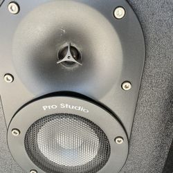 Giant Sub Speakers 