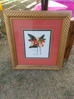 Frames